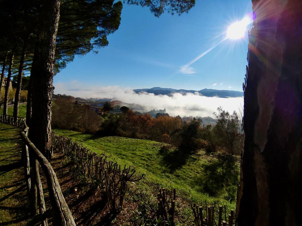 Fonte Degna - Alloggio E Sito Storico Citerna Kültér fotó