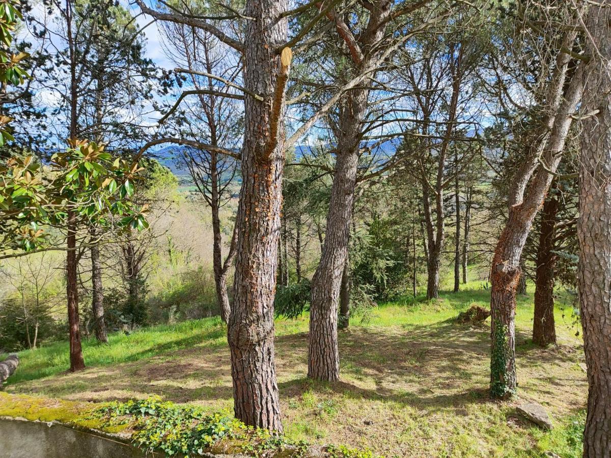 Fonte Degna - Alloggio E Sito Storico Citerna Kültér fotó